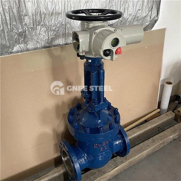 Wafer Gate Valve